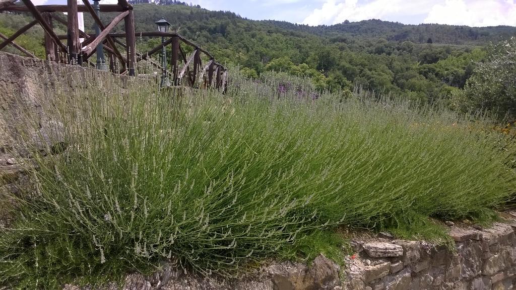 Piccolo Relais Galletto Di Marzo Spa E Relax Solo Per Due Paciano Kültér fotó