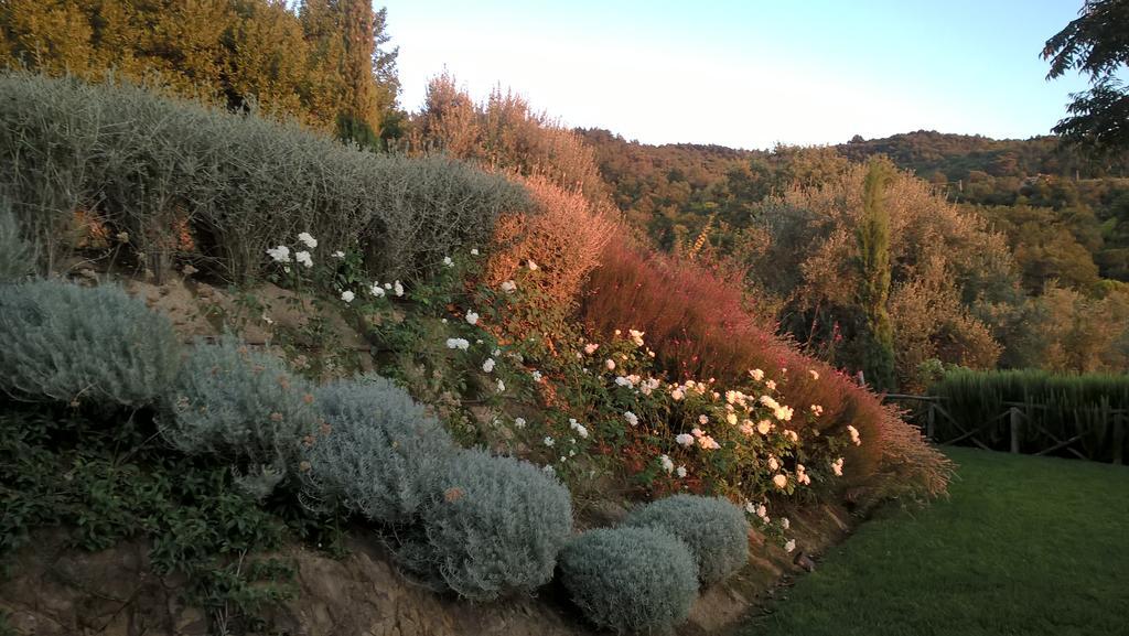 Piccolo Relais Galletto Di Marzo Spa E Relax Solo Per Due Paciano Kültér fotó